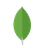 MongoDB